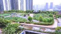 现实版开心农场：重庆33米高楼上有2万多平米农场