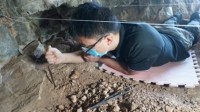 河南发现3万年前现代人头骨 网友：仙人洞里住先人