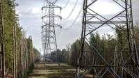 31省份电力大数据：山东用电第一 内蒙古发电最多
