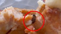 网曝华莱士汉堡中吃出蟑螂 店员：不可能 有严格流程