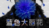 《蓝色大丽花》剧本杀简介 黑色大丽花案件