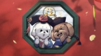 《宫中二三言》简介 没有什么比忠诚更重要