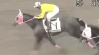 日本赛马冠军马匹取名8个mo 主播精准发音获网友大赞