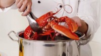 英国呼吁禁止活煮龙虾螃蟹 因为它们能感知疼痛
