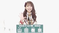 日本女偶像因诈骗被判刑 利用美色实施网络诱骗