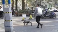 上海街头有市民遛小米机械狗 网友：好像来到了未来世界