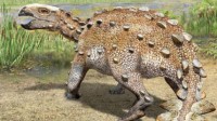 科学家发现全新恐龙物种：尾巴7对“刀” 连劈带锤