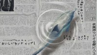 《那天大海》剧本简介 记录世界的每一分钟