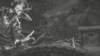 卡普空公布《怪物猎人：崛起》PC版滤镜等个性化设置 黑白电影画面下体验百龙夜行