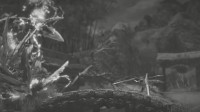 PC版《怪猎崛起》正式预告：黑白电影中百龙夜行