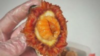 专拍深海生物的网红渔夫更新：这来自深渊的恐惧 