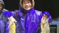 渔民捕4900斤野生大黄鱼卖957万 29年头一回