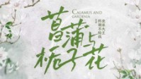 《菖蒲与栀子花》剧本简介 有你便花开如许