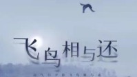 《飞鸟相与还》剧本简介 无脚鸟的一生