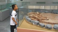 孩子打碎130万文物被索赔 网友怒批博物馆“钓鱼”