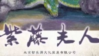《紫藤夫人》剧本简介 豪门惊情系列作品