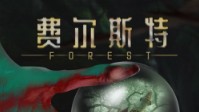 《费尔斯特》剧本简介 你眼中不存在的地方