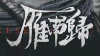 《雁南归》剧本简介 谁能成为最后的执棋者