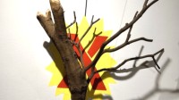 日本举办“大棍棒展” 最贵棍棒价值1亿日元