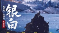 《银白集合吧侦探们前传》剧本简介