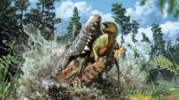史前巨鳄吞食了一只恐龙幼崽 9300万年后被人类发现