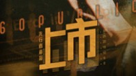 《上市》剧本简介 只有永远的利益