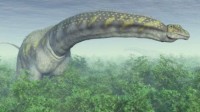 除了体长超45米的管水母 地球上还藏有哪些神秘巨兽
