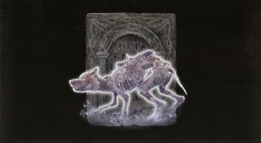 《艾尔登法环》腐败野狗的骨灰获取教程
