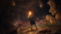 《老头环》Steam评价变多半好评 玩家：打不过需修炼