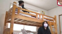 夫妻会睡上下铺？日本调查成年人睡双层床的原因