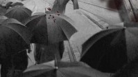 《金陵春》剧本简介 有人着素手将天补