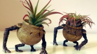 玩家3D打印《老头环》小壶可爱手办 脑瓜顶还能种草