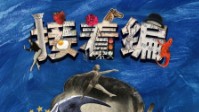 《接着编》剧本简介 动用你的邪恶力量吧