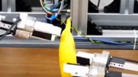 日本研发新款机器人 可3分钟内剥完一根香蕉