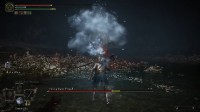 网友发现《法环》冰壶大作用 可打断女武神水鸟乱舞