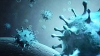 海洋中发现5500种新病毒 新冠病毒仅是“冰山一角”