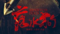 《落水狗》剧本简介 别成为落水狗