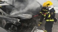 男子因无聊用打火机点杨絮 致30余辆车被烧毁