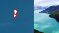 新疆喀纳斯湖拍到“水怪”？景区回应：是哲罗鲑鱼