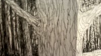 《全职猎人》作者富坚义博推特再更新：神秘大树