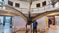 阿根廷出土的“死神之龙”化石 迄今为止的最大翼龙