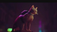 猫咪冒险游戏《Stray》发售日曝光 7月19日上线