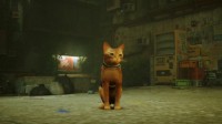 猫猫模拟器《流浪》最新预告公布 首发加入PS+