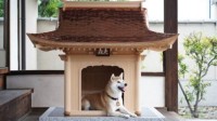 日本将发售超高级狗屋 年产一个售价15万美元