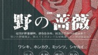 《野の蔷薇》剧本杀测评 野蔷薇无剧透测评