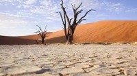 非洲索马里面临40年来最严重干旱 全球极端天气频发