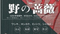 《野の蔷薇》剧本杀测评 野の蔷薇剧本测评