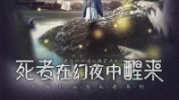 《死者在幻夜中醒来》剧本杀测评 