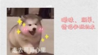 剧本杀脱单本推荐 剧本杀情侣必玩本及角色推荐