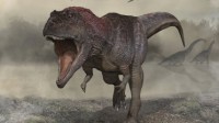 古生物学家发现新恐龙：可爱小手臂 和霸王龙一样